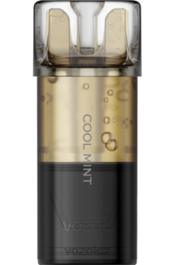 VOZOL SWITCH pro chladná máta DNJ2174 VOZOL Vape Cena