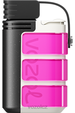 VOZOL GEAR 4000c/6000 růžová růže DNJ2320 VOZOL Vape Store