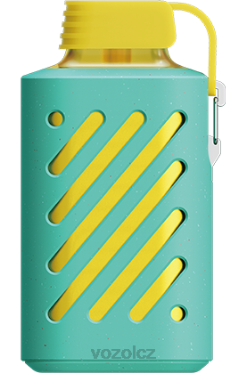VOZOL GEAR 10 000 miamská máta DNJ2298 VOZOL Vape Flavours