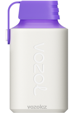 VOZOL GEAR 600 energie lesních plodů DNJ2350 VOZOL Vape Store