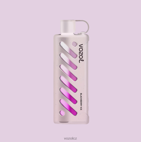 Vozol Czech Republic - VOZOL převodovka shisha 25000 FTX6R1