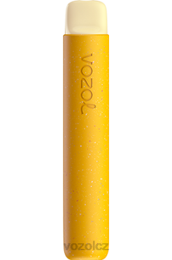VOZOL STAR 600 citronová mučenka DNJ286 VOZOL Cigarety