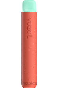 VOZOL STAR 600 liči guava vodní meloun DNJ288 VOZOL Vape Flavours