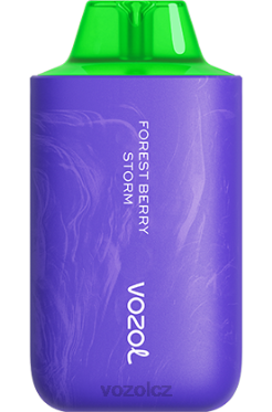 VOZOL STAR 6000/8000 v2 bouře lesních plodů DNJ259 VOZOL Vape Puffs