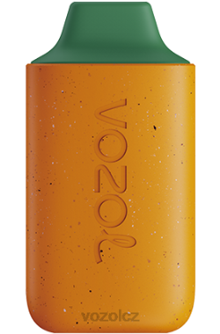mango broskev meloun