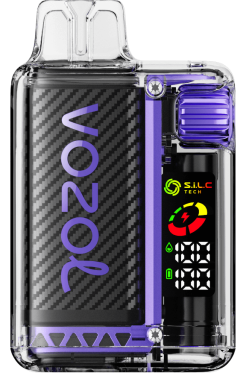 VOZOL VISTA 16000/20000 bezový květ grapefruit DNJ24 VOZOL Vape Cena